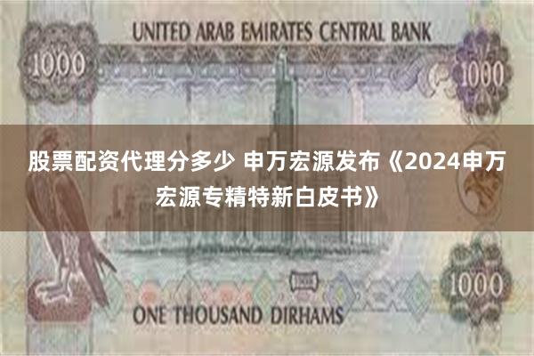 股票配资代理分多少 申万宏源发布《2024申万宏源专精特新白皮书》