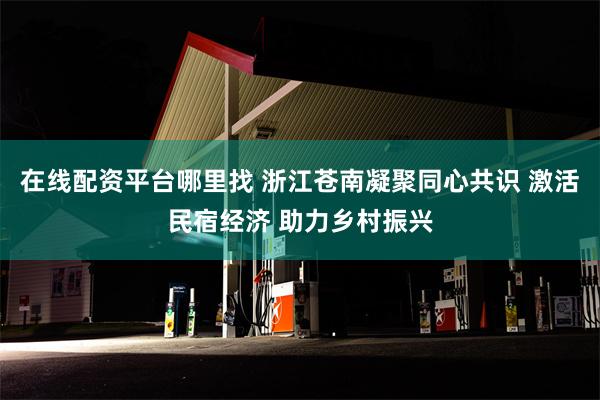 在线配资平台哪里找 浙江苍南凝聚同心共识 激活民宿经济 助力乡村振兴