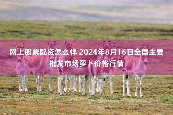 网上股票配资怎么样 2024年8月16日全国主要批发市场萝卜价格行情