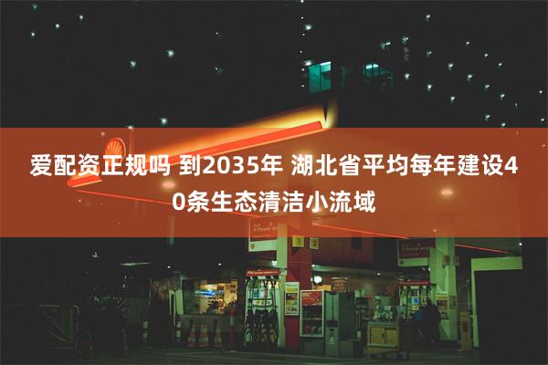 爱配资正规吗 到2035年 湖北省平均每年建设40条生态清洁小流域