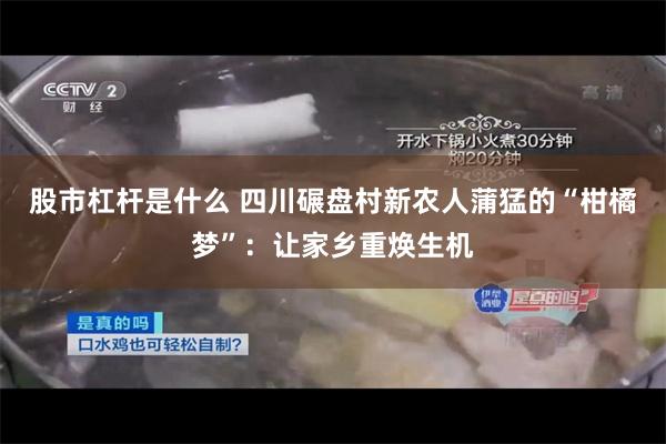 股市杠杆是什么 四川碾盘村新农人蒲猛的“柑橘梦”：让家乡重焕生机