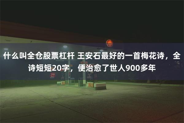 什么叫全仓股票杠杆 王安石最好的一首梅花诗，全诗短短20字，便治愈了世人900多年