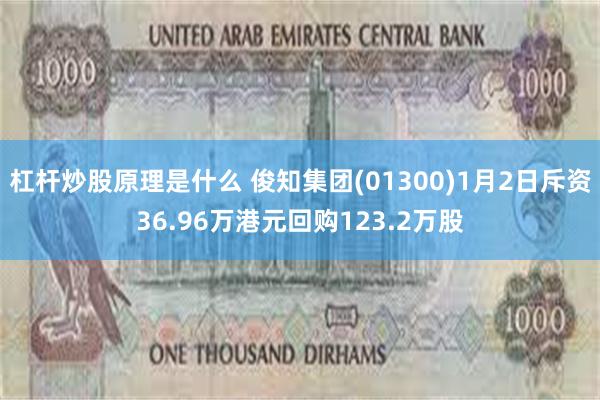 杠杆炒股原理是什么 俊知集团(01300)1月2日斥资36.96万港元回购123.2万股