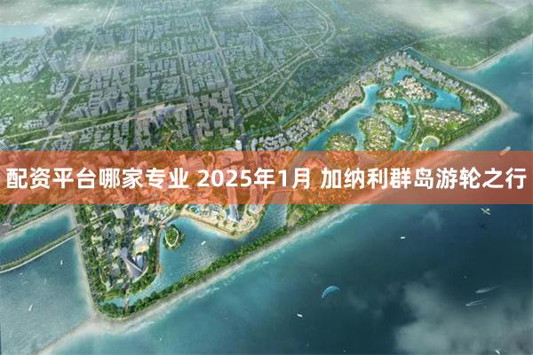 配资平台哪家专业 2025年1月 加纳利群岛游轮之行